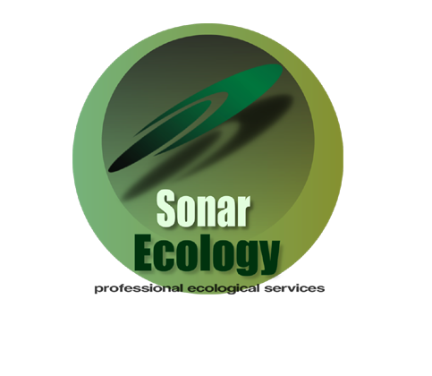 Sonar Ecoology